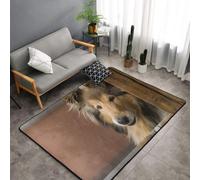 Hnnkloy Collie de Pelo Largo Lassie Perros Perros Grandes y Peludos Mascotas, Alfombra Grande Antideslizante para Sala de Estar o Dormitorio, 150 x 100 cm.