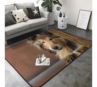 Hnnkloy Collie de Pelo Largo Lassie Perros Perros Grandes y Peludos Mascotas, Alfombra Grande Antideslizante para Sala de Estar o Dormitorio, 208 x 148 cm.
