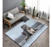 Hnnkloy Conceptos de Amistad Entre Perros Cane Corso y Pug, Alfombra Grande Antideslizante para Sala de Estar o Dormitorio, 150 x 100 cm.
