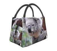 Hnnkloy Koala en una rama,Bolsa de almuerzo portátil, bolsa isotérmica, fiambrera duradera, bolsa térmica reutilizable.