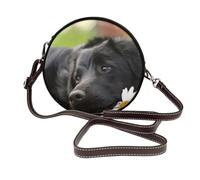 Hnnkloy Labrador negro Manzanilla Perros Retriever negros,Bolso de hombro de piel sintética, bolso cruzado redondo - Bolso circular para mujer