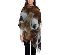 Hnnkloy Lindo Cavalier King Charles Spaniel,Bufanda grande de cachemira sintética para mujer, chal ligero con borlas, 197 x 72 cm