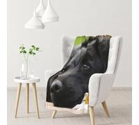 Hnnkloy Lindo patrón de Perro Labrador Negro,Manta Suave para sofá Cama, cálida, antipilling, de Franela Afelpada, 76 x 102 cm.