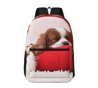 Hnnkloy Patrón del Cavalier King Charles Spaniel,Mochila informal de 17 pulgadas con bolsillos, resistente al agua, para la escuela.