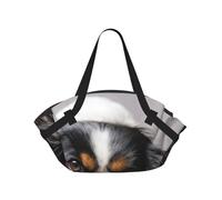 Hnnkloy Perro Cavalier King Charles Spaniel,Esterilla de Camping portátil, Manta de Picnic Plegable Multifuncional Que también Sirve como Bolsa de Camping para Viajes.