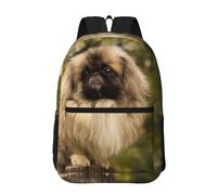 Hnnkloy Perro Pug Impreso,Mochila informal de 17 pulgadas con bolsillos, resistente al agua, para la escuela.