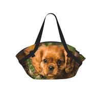 Hnnkloy Perros Cavalier King Charles Spaniel de Pelo Rizado marrón,Esterilla de Camping portátil, Manta de Picnic Plegable Multifuncional Que también Sirve como Bolsa de Camping para Viajes.