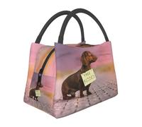 Hnnkloy Perros salchicha con tabla de adiestramiento Perro salchicha marrón,Bolsa de almuerzo portátil, bolsa isotérmica, fiambrera duradera, bolsa térmica reutilizable.