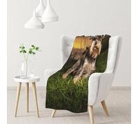 Hnnkloy Schnauzer Sunset Perros Mascotas Montañas Schnauzer,Manta Suave para sofá Cama, cálida, antipilling, de Franela Afelpada, 76 x 102 cm.