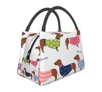 Hnnkloy Suéter con estampado de perro salchicha de pelaje rojo,Bolsa de almuerzo portátil, bolsa isotérmica, fiambrera duradera, bolsa térmica reutilizable.
