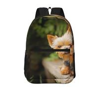 Hnnkloy Yorkshire Terrier Bokeh Lindos perros Pared,Mochila informal de 17 pulgadas con bolsillos, resistente al agua, para la escuela.