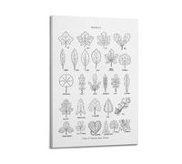 HNPBB - Póster de plantas vintage de varios tipos de formas de hojas, póster decorativo de lienzo para pared e impresión artística moderna para decoración de dormitorio familiar, pósteres de 12 x 18