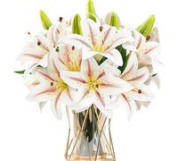 HNVNER Lirio Artificiales De Imitación 6 Ramos Flores Decoración, Impresión 3D Lirio Artificiales con 12 Flores Abiertas Y 6 Capullos, para Boda Partido Centros De Mesa Inicio Cocina (Champán)