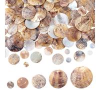 HOBBIESAY 100 unidades de 5 estilos de concha redonda plana 9 - 30 mm, concha natural Akoya, amuletos de nácar, conchas para pendientes, collar, fabricación de joyas, orificio: 1,5 - 4 mm, Concha