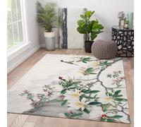 HOBBOY 60x120cm Alfombras de área Alfombra Lavable para salón Magnolia Blanco Verde Loro pájaros Florales Alfombras Antideslizantes Fina de Primavera para salón Dormitorio Comedor