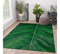 HOBBOY Alfombras de Zona 50x80cm Alfombra Antideslizante Lavable Hoja Tropical Bohemia Verde con Gotas de Agua moqueta de Pelo bajo para salón Dormitorio Felpudo de Puerta del Comedor