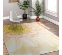 HOBBOY Alfombras Lavables 150x240cm Alfombras para el salón Alfombra Moderna de melocotón Gerbera con patrón Margarita para Dormitorio Comedor Mofeta Interior de Pelo bajo