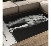 HOBBOY Alfombrilla Yoga Motivacional 50 x 80 cm Gris león Fondo Negro Alfombras Pelo bajo lavadoras en Lavadora para salón Cocina Oficina decoración del Suelo