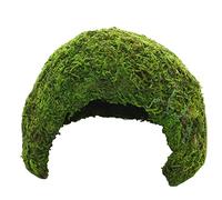 Hobby 34600 Jungle Cave 1 - Cápsula para cocinar (74 g)