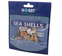 Hobby 40221 Sea Shells Set, S