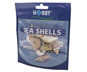Hobby 40222 Sea Shells Set M 10pcs