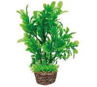 Hobby Aquaristik Flora Stone 3 I Planta Artificial de Aspecto Real, 4 x 13 cm