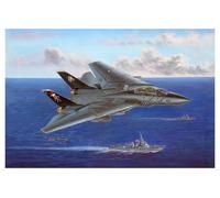 Hobby Boss HY80367 F-14B Tomcat Airplane Model Building Kit (Importación USA)