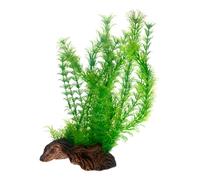 Hobby Flora Raíz 3L 30CM Plantas de Agua Raiz Decoración Planta de Acuario