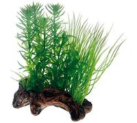 Hobby Flora Root 2. S - 17 cm. SB