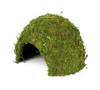 Hobby Jungle Cave - Cueva Para Terrarios - Gr. 1 Musgo Natural Humedad