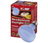 Hobby Neodimio Daylight Eco 37550 - Bombilla (28 W)