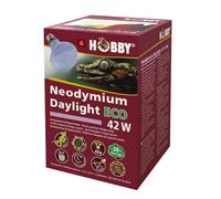 Hobby Neodimio Luz del día Eco, Focos de halógeno luz día - 42W