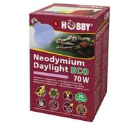 Hobby Neodimio Luz del día Eco, Focos de halógeno luz día - 70W