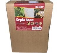 Hobby Terraristik Sepia - Cuencos de 15-20 cm, 8 Unidades, Fuente Mineral Natural de Calamar, Fuente de Calcio para Tortugas terrestres, pantanos y acuáticos, lagartos, roedores y Aves Ornamentales I
