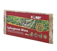 Hobby Terraristik Sphagnum Moss I 100 g I Sustrato Tropical para terrarios y orquídeas I Musgo para terrarios I 100% Natural y sin aditivos químicos I Musgo para Aumentar la Humedad del Aire