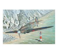 Hobbyboss 1/48 Hurricane MK 1, Color Moldeado