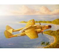 Hobbyboss 81730 - 1:48 Ee.uu P-61A Negro Widow- Nuevo