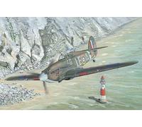 Hobbyboss 1/48 Hurricane MK 1, Color Moldeado