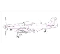 Hobbyboss 85806 1: 48 - P-51D Mustang IV Luchador