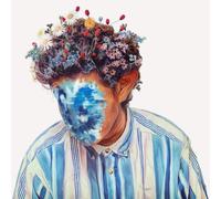 Hobo Johnson The Fall of Hobo Johnson (Vinyl) (Importación USA)