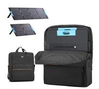 HODRANT Bolsa de Almacenamiento para Paneles solares Compatible con Anker SOLIX PS100 PS200. Estuche Protector para 2 Paneles solares con Bolsillos y Asas (Solo Bolsa)