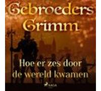 Hoe Er Zes Door De Wereld Kwamen (audiolibro)
