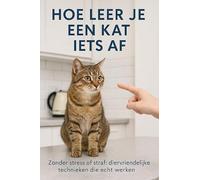 Hoe leer je een kat iets af
