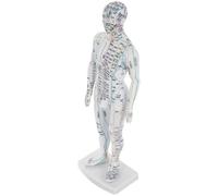 Hoement Modelo Base del Cuerpo Humano de Acupuntura de Plástico Blanco y Aprendizaje y Gestión de Salud para Formación para Educación de Puntos de Acupuntura