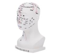 Hoement Modelo De Acupuntura De Cabeza Herramienta Didáctica Para Meridianos y Puntos De Acupuntura Para Escuelas y Hospitales Diseño Ergonómico y Precisión