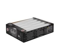 Hofer Velas para candelabros - 23 x 250 mm - Color blanco - Juego de 30 velas cónicas largas - Larga duración de 7 horas - Sin perfume - Calidad RAL