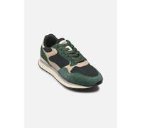 Hoff ANTWERP MAN 43 Verde