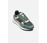 Hoff ANTWERP WOMAN 37 Verde
