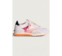 VIOLETA 36 HOFF BULL