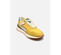 Hoff CITY CHROMA 39 Amarillo